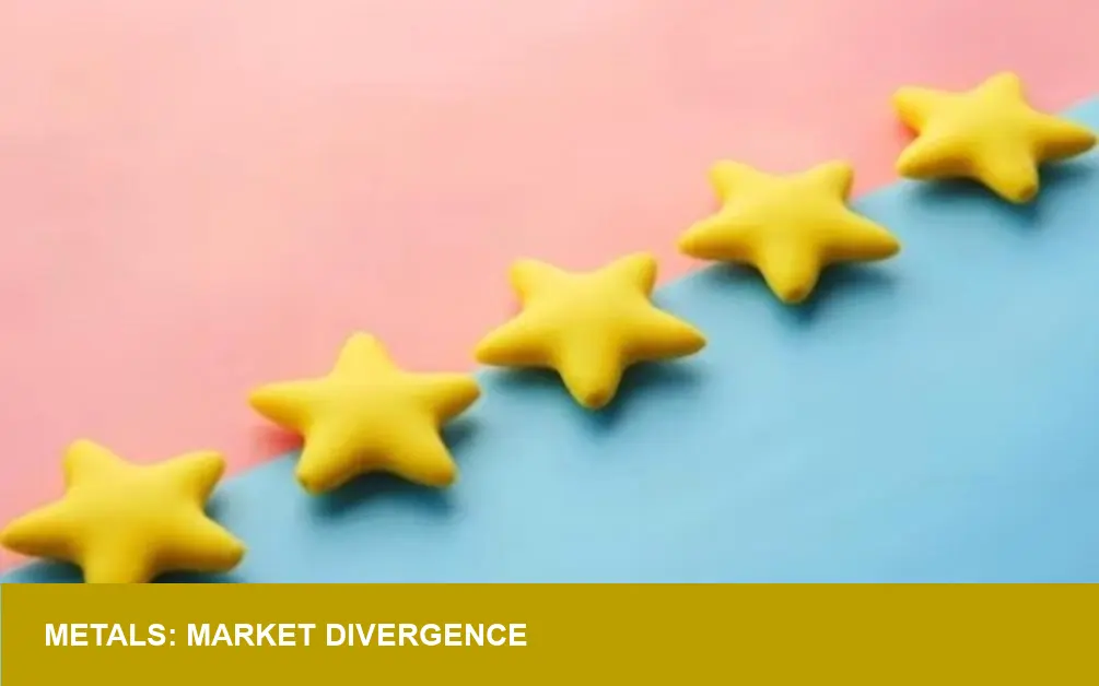 Gold’s Stability vs. Silver’s Surge: ETF Data Reveals Market Nerves