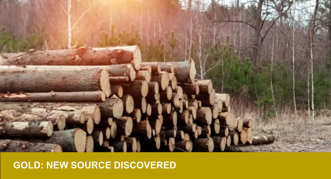 Suriname's New Gold Strike: What a High-Grade Vein Means for Supply