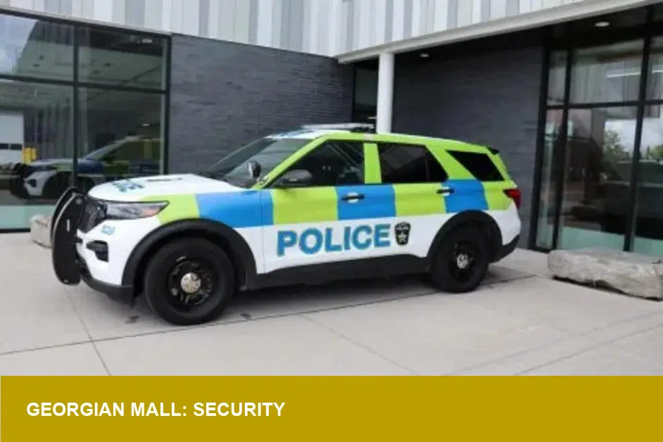Georgian Mall Robbery: Five Teens, Jewelry Stolen — Retail Risk?