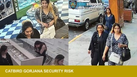 NYPD Seeks Three After Catbird and Gorjana Robberies — Retail Risk?