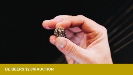 De Beers 28.88ct Jwaneng diamond at $2.8M — demand test