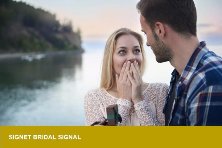 Signet stock rises after solid holiday diamonds — bridal signal